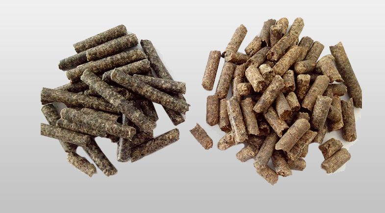 Raw Materials for Mushroom Plant
